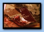 [Click to enlarge image]